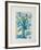 Tulipe bleue-Jean-marie Guiny-Framed Limited Edition