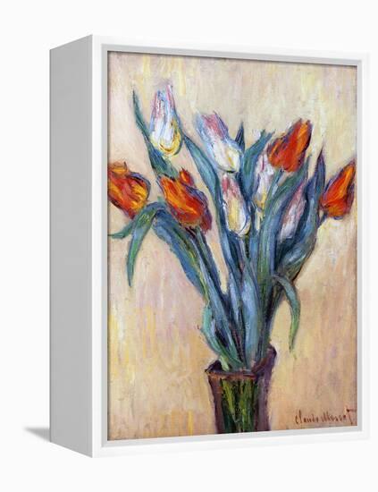 Tulips, 1885-Claude Monet-Framed Premier Image Canvas