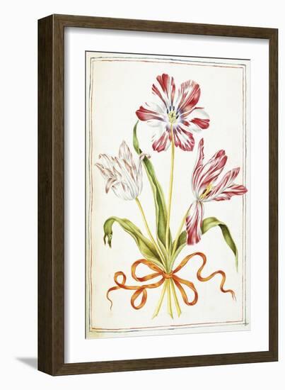 Tulips, 18th Century-null-Framed Giclee Print