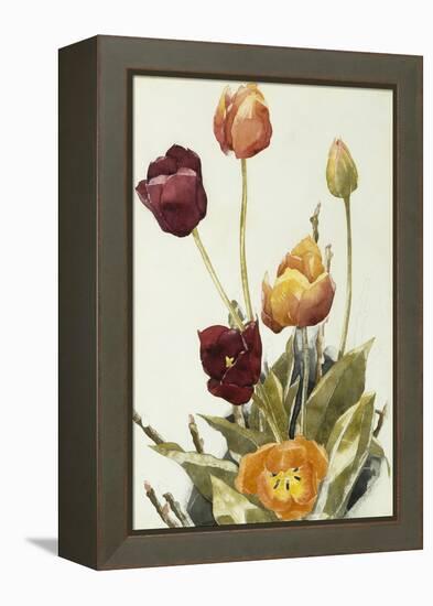 Tulips, 1933 (Watercolour and Graphite on Paper)-Charles Demuth-Framed Premier Image Canvas