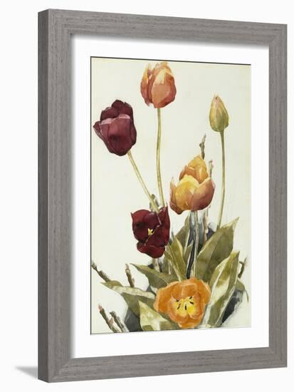 Tulips, 1933 (Watercolour and Graphite on Paper)-Charles Demuth-Framed Giclee Print