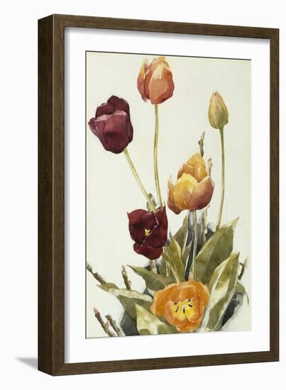 Tulips, 1933 (Watercolour and Graphite on Paper)-Charles Demuth-Framed Giclee Print