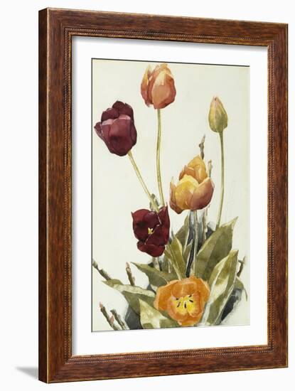 Tulips, 1933 (Watercolour and Graphite on Paper)-Charles Demuth-Framed Giclee Print