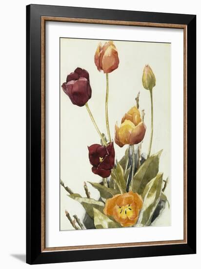 Tulips, 1933 (Watercolour and Graphite on Paper)-Charles Demuth-Framed Giclee Print