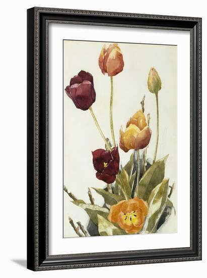 Tulips, 1933 (Watercolour and Graphite on Paper)-Charles Demuth-Framed Giclee Print