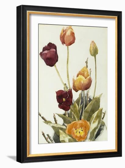 Tulips, 1933 (Watercolour and Graphite on Paper)-Charles Demuth-Framed Giclee Print