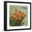 tulips 1-Rick Novak-Framed Art Print