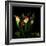 Tulips 1-Magda Indigo-Framed Photographic Print