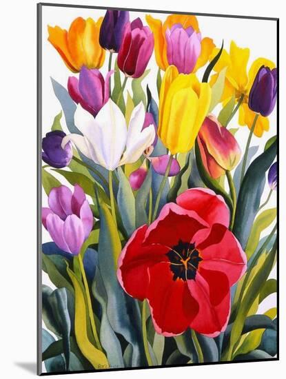 Tulips, 2007-Christopher Ryland-Mounted Giclee Print