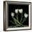 Tulips 3-Magda Indigo-Framed Photographic Print