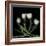 Tulips 3-Magda Indigo-Framed Photographic Print