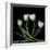 Tulips 3-Magda Indigo-Framed Photographic Print