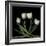 Tulips 3-Magda Indigo-Framed Photographic Print