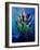 Tulips 45-Pol Ledent-Framed Art Print