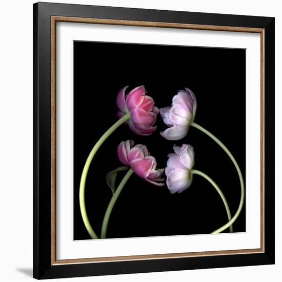 Tulips 4-Magda Indigo-Framed Photographic Print