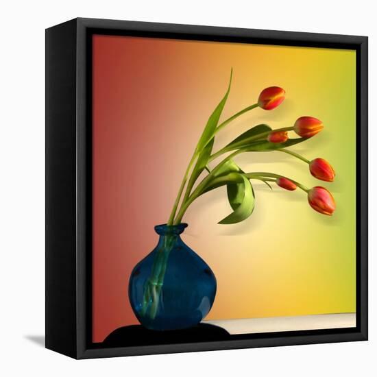 Tulips 5-Mark Ashkenazi-Framed Premier Image Canvas