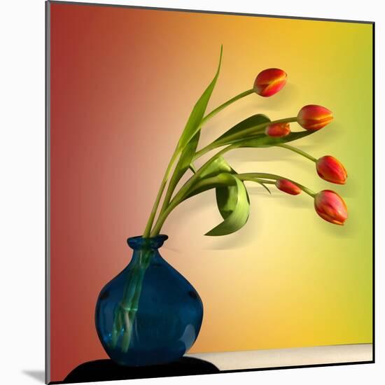 Tulips 5-Mark Ashkenazi-Mounted Giclee Print