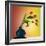 Tulips 5-Mark Ashkenazi-Framed Giclee Print