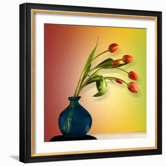 Tulips 5-Mark Ashkenazi-Framed Giclee Print