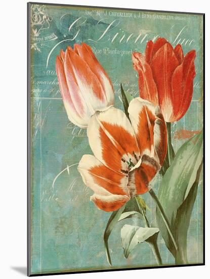 Tulips Ablaze II-Color Bakery-Mounted Giclee Print