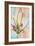 Tulips and Aquarel II-Cora Niele-Framed Giclee Print