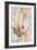 Tulips and Aquarel II-Cora Niele-Framed Giclee Print