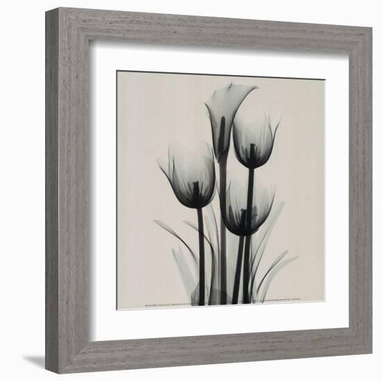 Tulips and Arum Lily-Marianne Haas-Framed Art Print