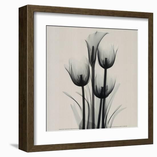 Tulips and Arum Lily-Marianne Haas-Framed Art Print