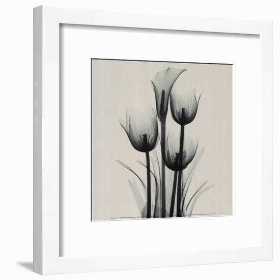 Tulips and Arum Lily-Marianne Haas-Framed Art Print