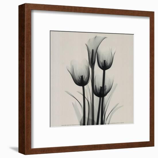 Tulips and Arum Lily-Marianne Haas-Framed Art Print