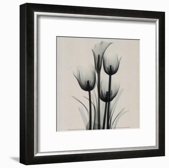 Tulips and Arum Lily-Marianne Haas-Framed Art Print