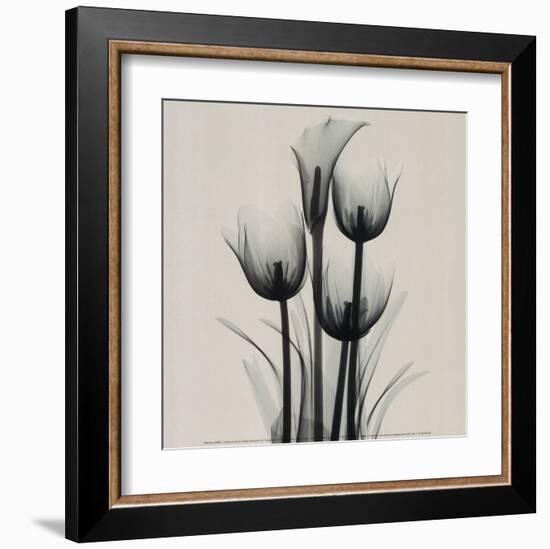 Tulips and Arum Lily-Marianne Haas-Framed Art Print