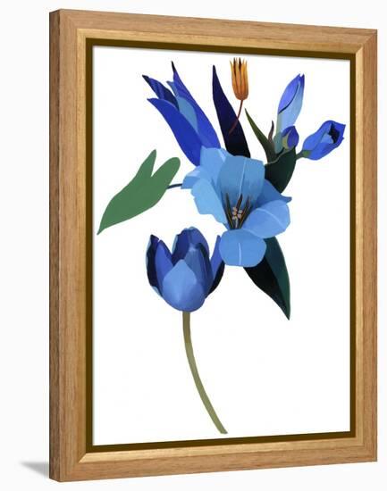 Tulips and Blue Flowers, 2003 (Gouache on Paper and Adobe Photoshop)-Hiroyuki Izutsu-Framed Premier Image Canvas