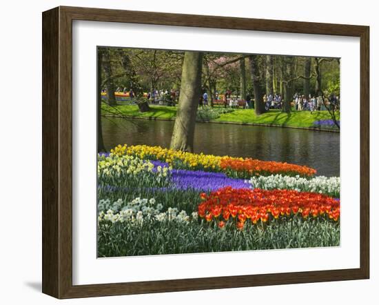 Tulips and Daffodils in Bloom in Keukenhof Gardens, Amsterdam, Netherlands-Keren Su-Framed Photographic Print