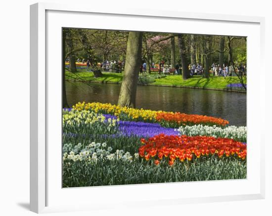 Tulips and Daffodils in Bloom in Keukenhof Gardens, Amsterdam, Netherlands-Keren Su-Framed Photographic Print