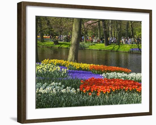 Tulips and Daffodils in Bloom in Keukenhof Gardens, Amsterdam, Netherlands-Keren Su-Framed Photographic Print