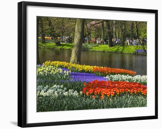 Tulips and Daffodils in Bloom in Keukenhof Gardens, Amsterdam, Netherlands-Keren Su-Framed Photographic Print