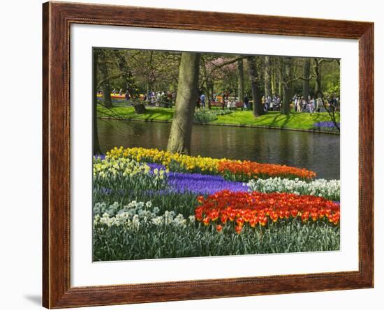 Tulips and Daffodils in Bloom in Keukenhof Gardens, Amsterdam, Netherlands-Keren Su-Framed Photographic Print