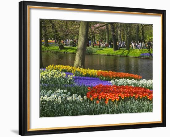 Tulips and Daffodils in Bloom in Keukenhof Gardens, Amsterdam, Netherlands-Keren Su-Framed Photographic Print