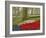 Tulips and Daffodils, Keukenhof Gardens, Lisse, Netherlands-Adam Jones-Framed Photographic Print