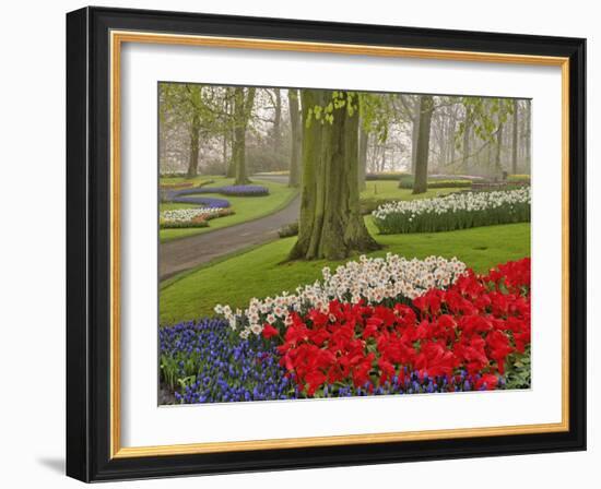 Tulips and Daffodils, Keukenhof Gardens, Lisse, Netherlands-Adam Jones-Framed Photographic Print
