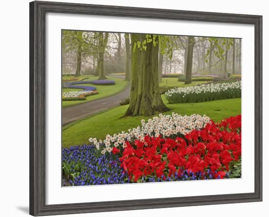 Tulips and Daffodils, Keukenhof Gardens, Lisse, Netherlands-Adam Jones-Framed Photographic Print