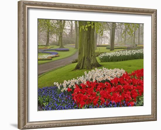 Tulips and Daffodils, Keukenhof Gardens, Lisse, Netherlands-Adam Jones-Framed Photographic Print