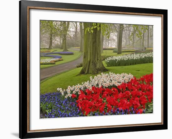 Tulips and Daffodils, Keukenhof Gardens, Lisse, Netherlands-Adam Jones-Framed Photographic Print