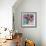 Tulips And Fruit-Sylvia Paul-Framed Giclee Print displayed on a wall