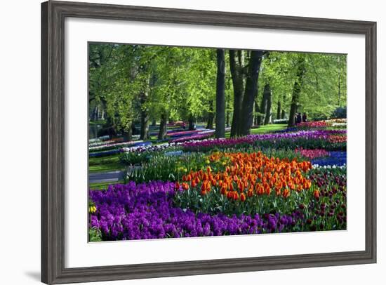 Tulips and Hyacinth in Keukenhof Gardens-Darrell Gulin-Framed Photographic Print