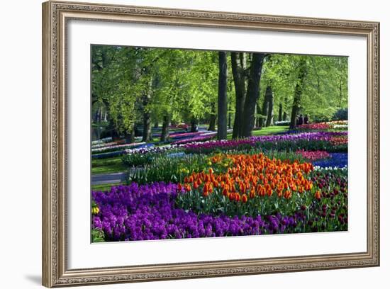 Tulips and Hyacinth in Keukenhof Gardens-Darrell Gulin-Framed Photographic Print