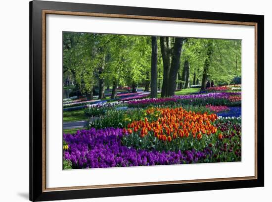 Tulips and Hyacinth in Keukenhof Gardens-Darrell Gulin-Framed Photographic Print