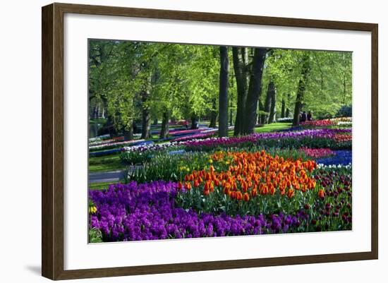 Tulips and Hyacinth in Keukenhof Gardens-Darrell Gulin-Framed Photographic Print