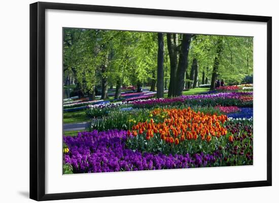 Tulips and Hyacinth in Keukenhof Gardens-Darrell Gulin-Framed Photographic Print